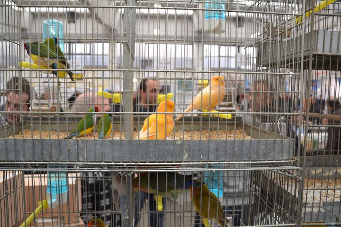 DSC_0604 - 2013-POZE NR 2