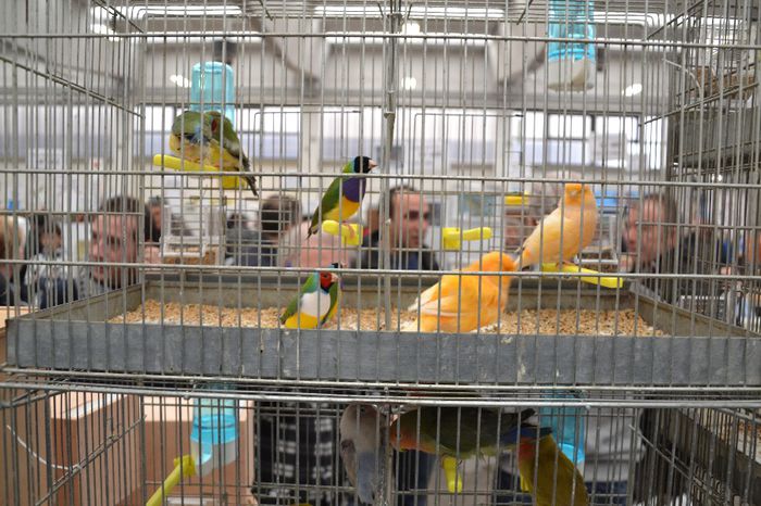 DSC_0605 - 2013-POZE NR 2