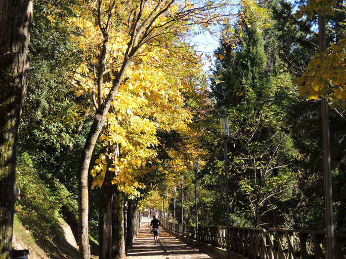 DSCN1763 - SFARSIT DE TOAMNA