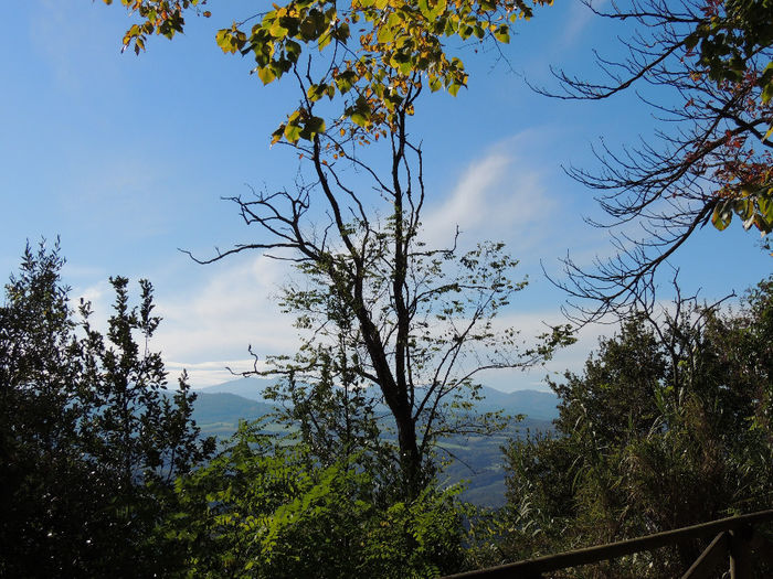 DSCN1766 - SFARSIT DE TOAMNA