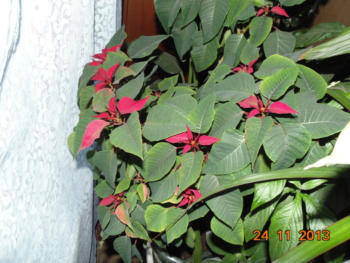 DSC00496