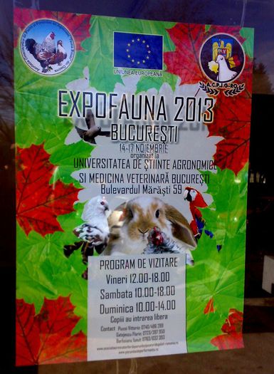 15112013404 - Expo Fauna Bucuresti 2013