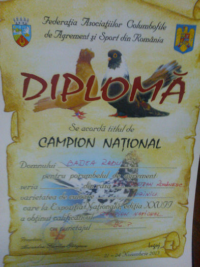 WP_004965 - CAMPION NATIONAL ORBETEAN ROMANESC-LUGOJ 2013