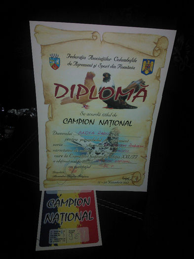 WP_004966 - CAMPION NATIONAL ORBETEAN ROMANESC-LUGOJ 2013