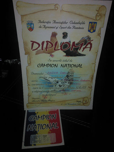 WP_004967 - CAMPION NATIONAL ORBETEAN ROMANESC-LUGOJ 2013