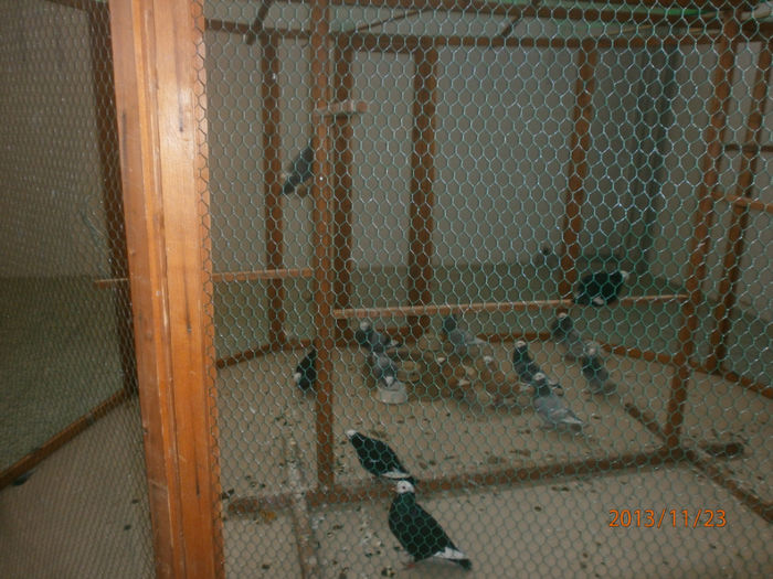 Copy of PB231202