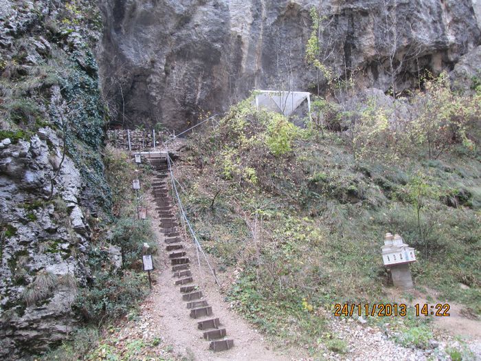 IMG_0905 - Toamna pe Sohodol