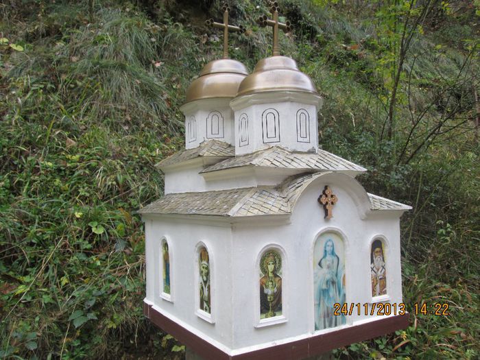 IMG_0906 - Toamna pe Sohodol