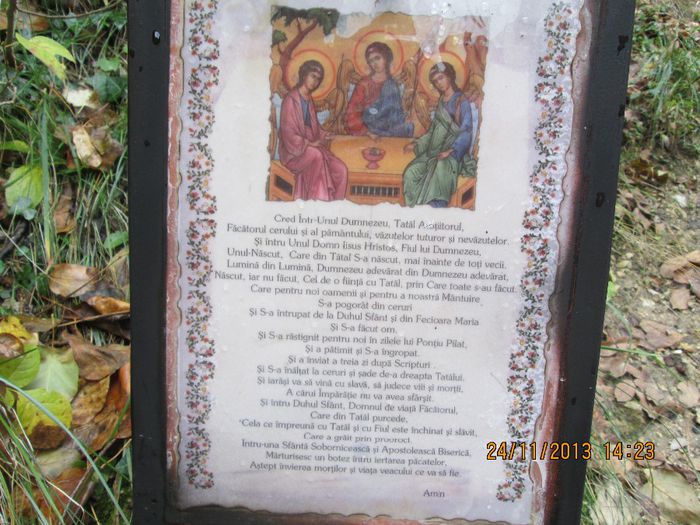 IMG_0909 - Toamna pe Sohodol