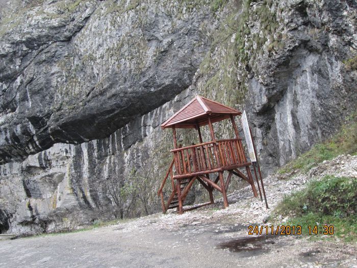 IMG_0918 - Toamna pe Sohodol