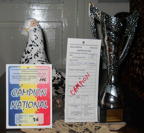 Campion National Lugoj 2013 - 1 - - TROFEE