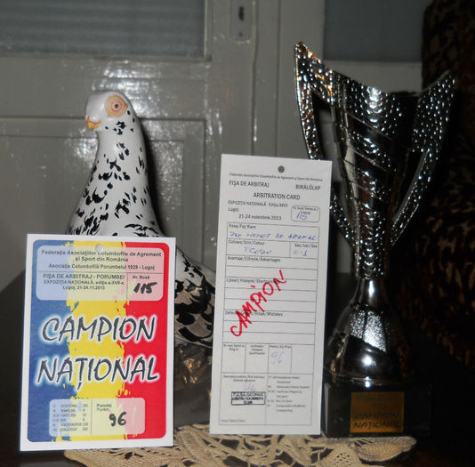 Campion National Lugoj 2013 - 2 - - TROFEE