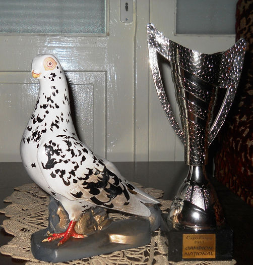 Campion National Lugoj 2013 - 2 - - TROFEE