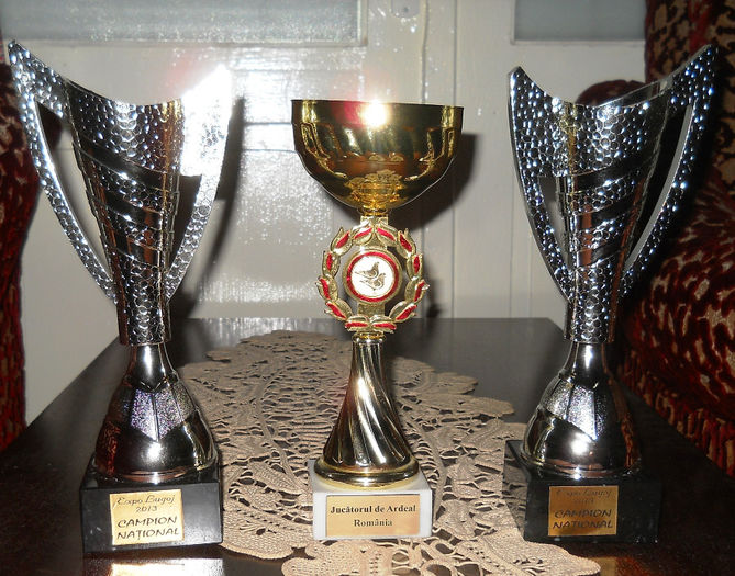 Trofee Lugoj 2013 - TROFEE