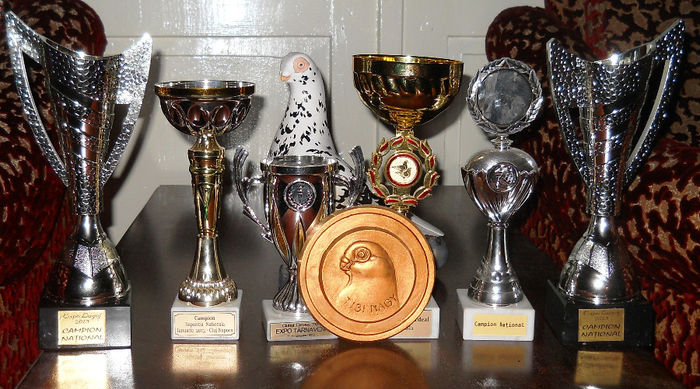 Trofee 2012-2013