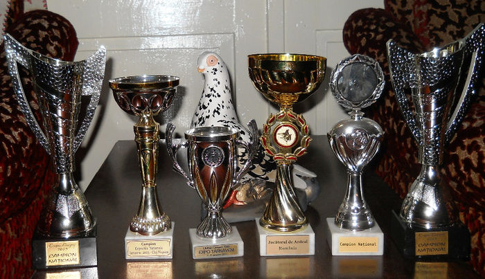 Trofee 2012-2013