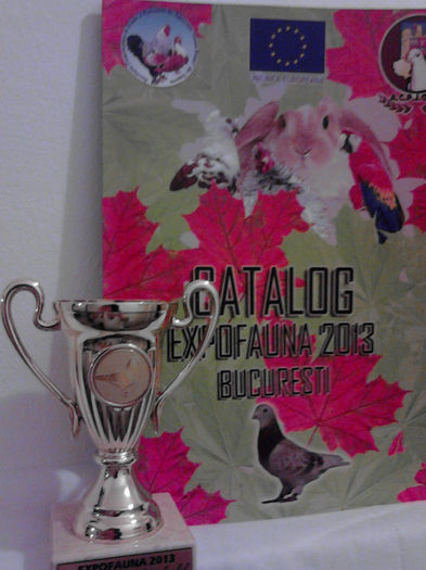 Bucuresti-ExpoFauna 2013 - TROFEE SI CAMPIONI