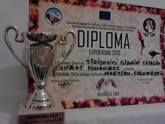 Maestru columbofil - Expo Fauna 2013 Bucuresti - TROFEE SI CAMPIONI