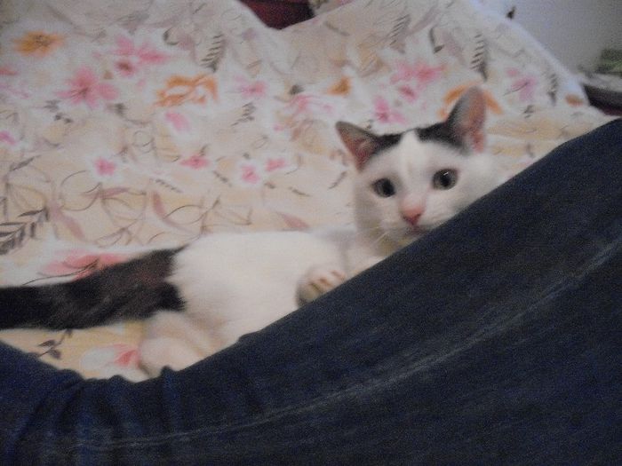 DSCF1730 - FELIX