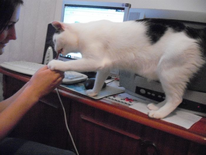 DSCF1732 - FELIX