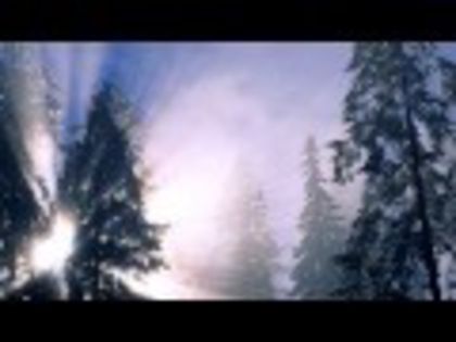download (4) - Peisaje de iarna