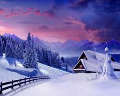 images (4) - Peisaje de iarna