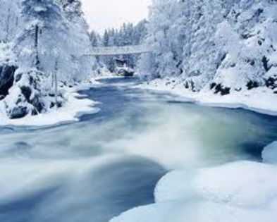 images (7) - Peisaje de iarna