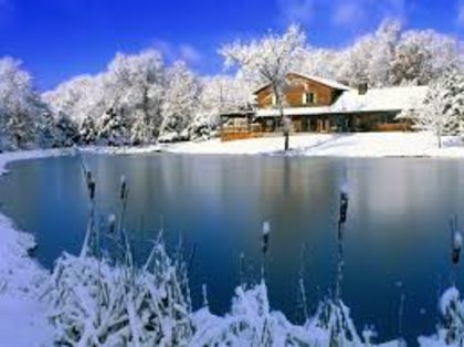 images (9) - Peisaje de iarna