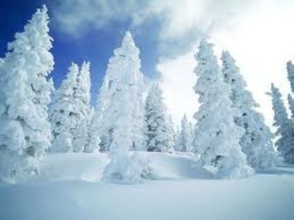 images (11) - Peisaje de iarna