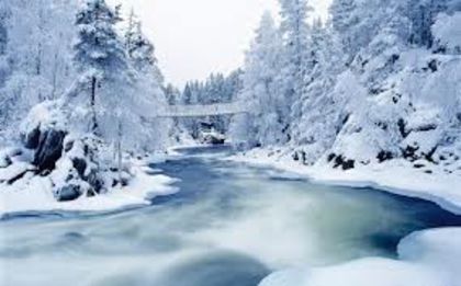 images (19) - Peisaje de iarna