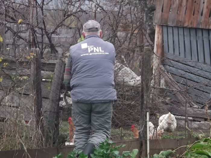 PNL-ist fruntas