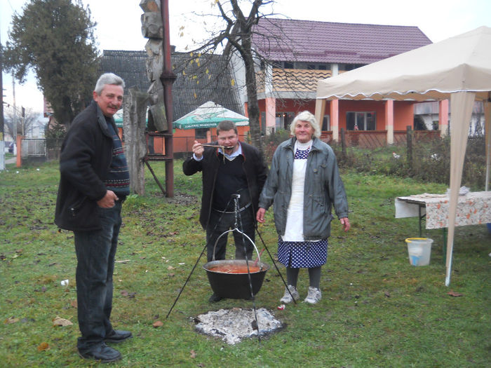 039 - Festivalul verzei