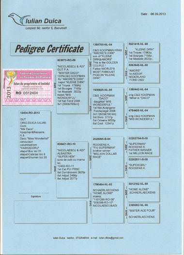 Columbodrom-Kaskadoru-RO-12404-2013-loc11-AS-pedigree; pedigree 11 as
