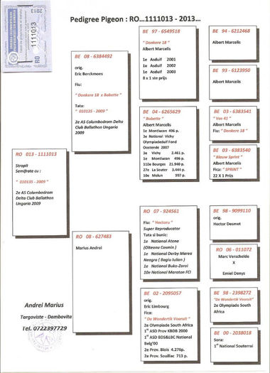 Columbodrom-Kaskadoru-RO-1111013-2013-loc9-AS-pedigree; pedigree 9 as
