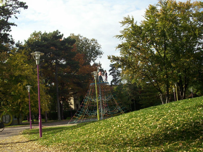 DSCI0575 - toamna 2013