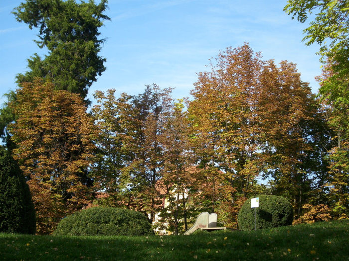 DSCI0584 - toamna 2013