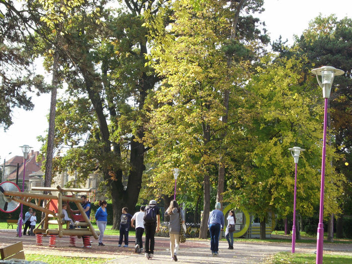 DSCI0586 - toamna 2013