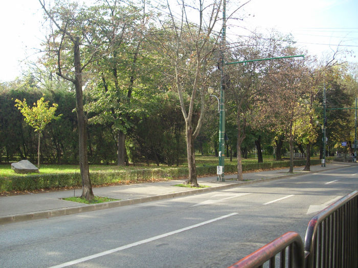 DSCI0769 - 2013 ateptand tramvaiul in Timisoara