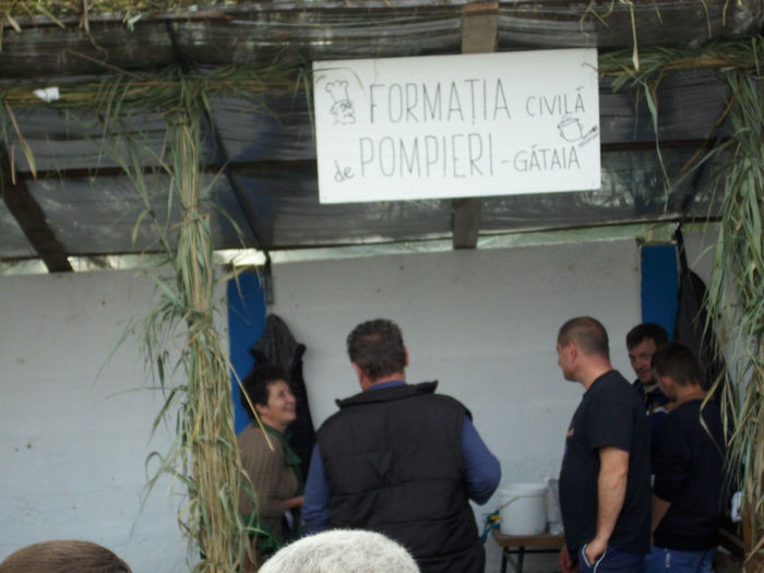 DSCI0445 - 2013 concurs de gatit a doua editie Gataia
