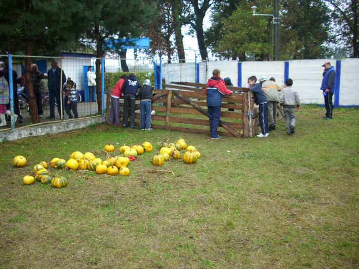 DSCI0009 - 2012 concurs de gatit Gataia prima editie