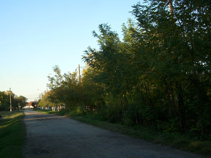 DSCI0256