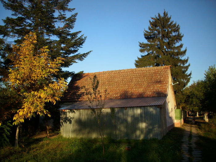 DSCI0260