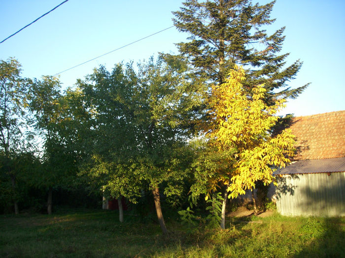 DSCI0263