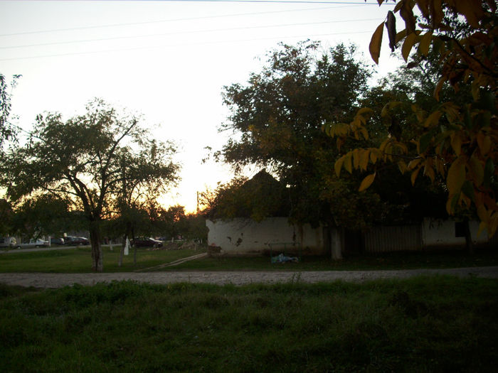 DSCI0303
