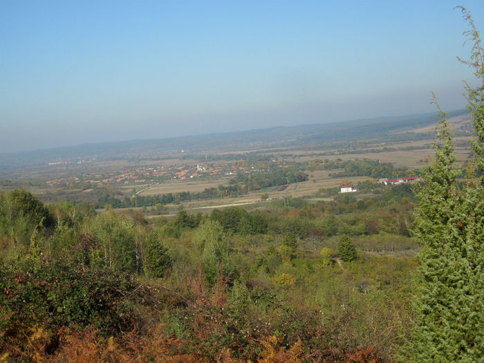 DSCI0308