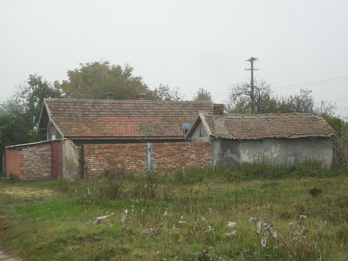 DSCI0345 - 2012 a fost o toamna superba