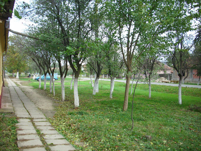 DSCI0411