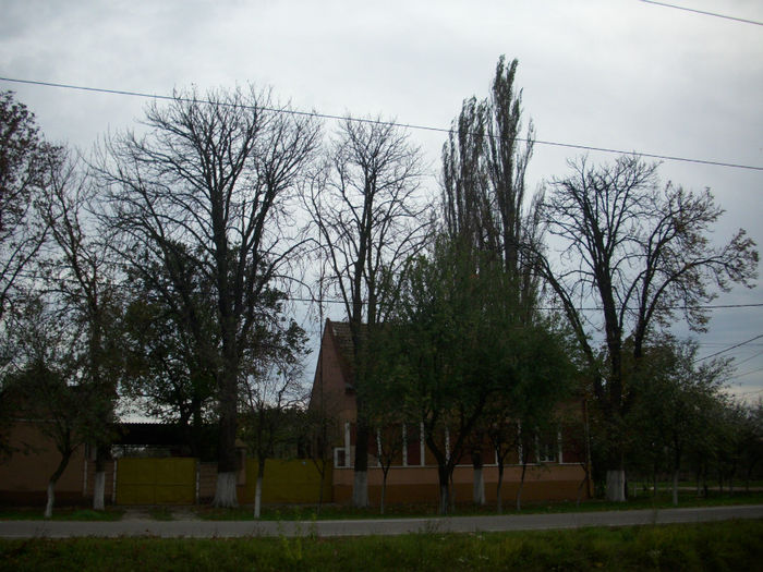 DSCI0415