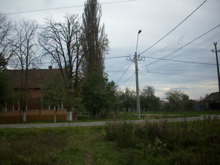 DSCI0421