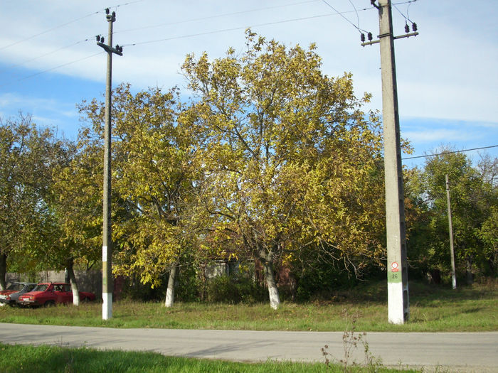 DSCI0558
